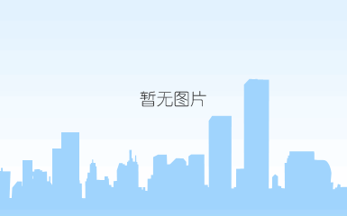 青瓷双耳定制陶瓷酒瓶